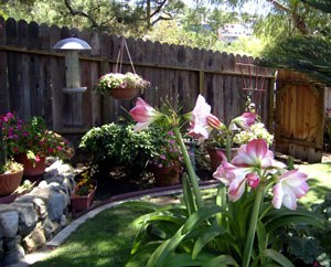 2007_South_Village_Tour_01