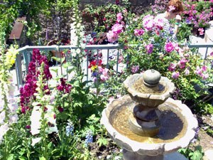 2007_South_Village_Tour_04