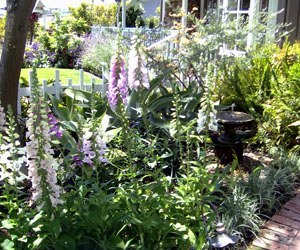 2007_South_Village_Tour_05