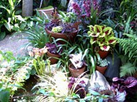 2007_South_Village_Tour_09