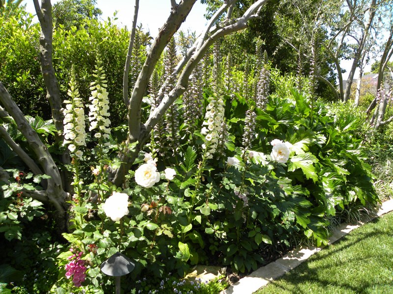 2010_Upper_Diamond_Street_05