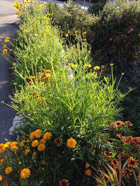 2013_Gate_and_Garden_Tour_01