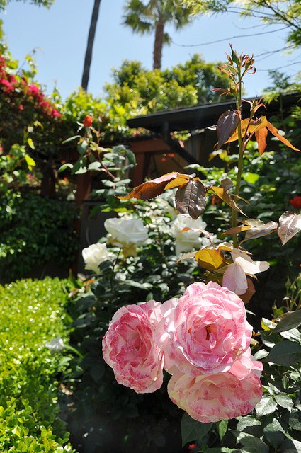 2013_Gate_and_Garden_Tour_07