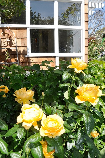 2013_Gate_and_Garden_Tour_18