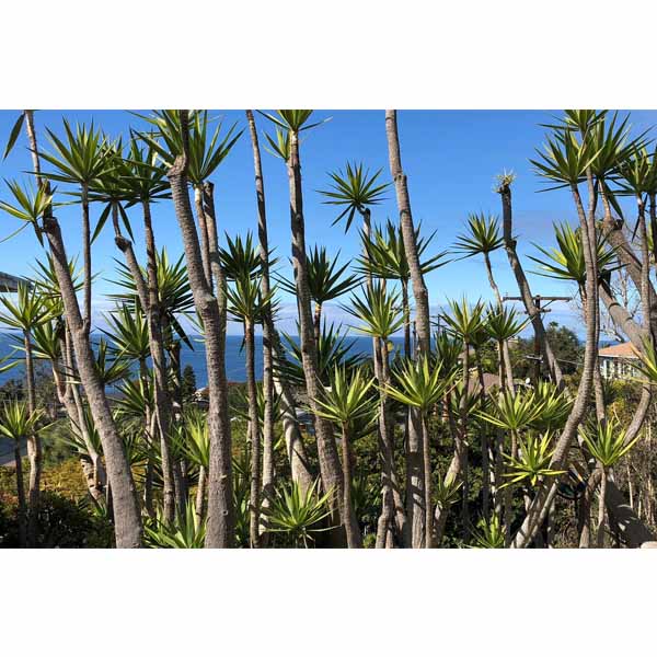 2018-tour-south-laguna-12
