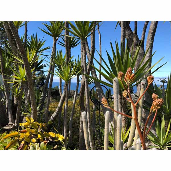 2018-tour-south-laguna-13