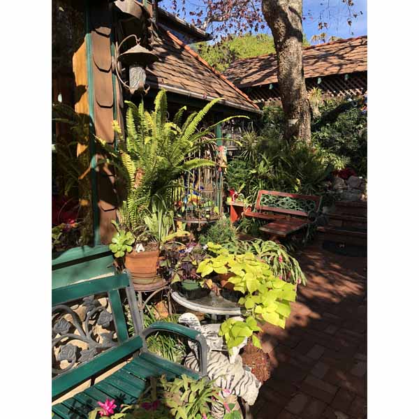 2018-tour-south-laguna-30