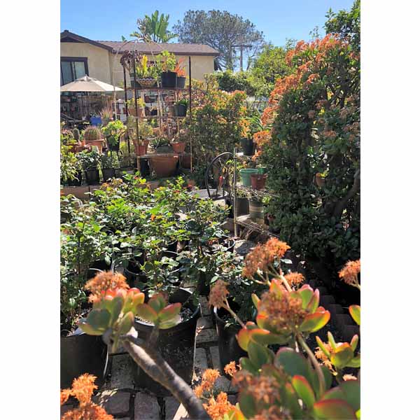 2018-tour-south-laguna-40