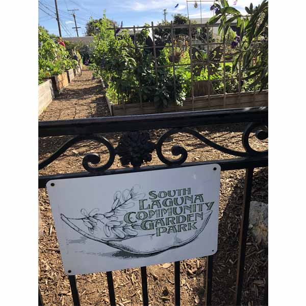2018-tour-south-laguna-46