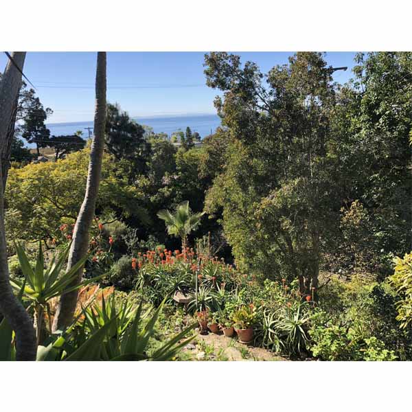 2018-tour-south-laguna-8