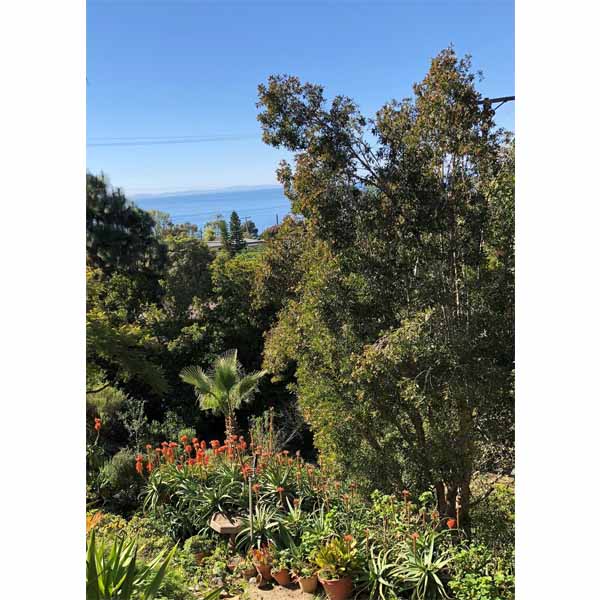2018-tour-south-laguna-9