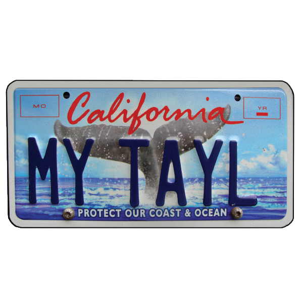 Bill-Plate