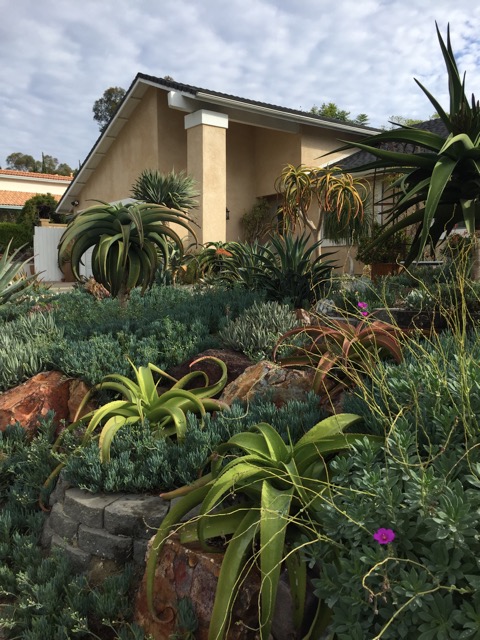 Casa-del-Sol-Garden_01
