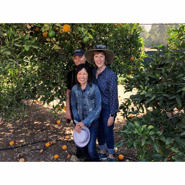 a1-oasis-600×600