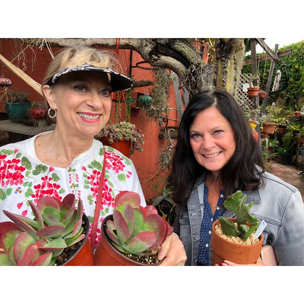 solana-succulents-1