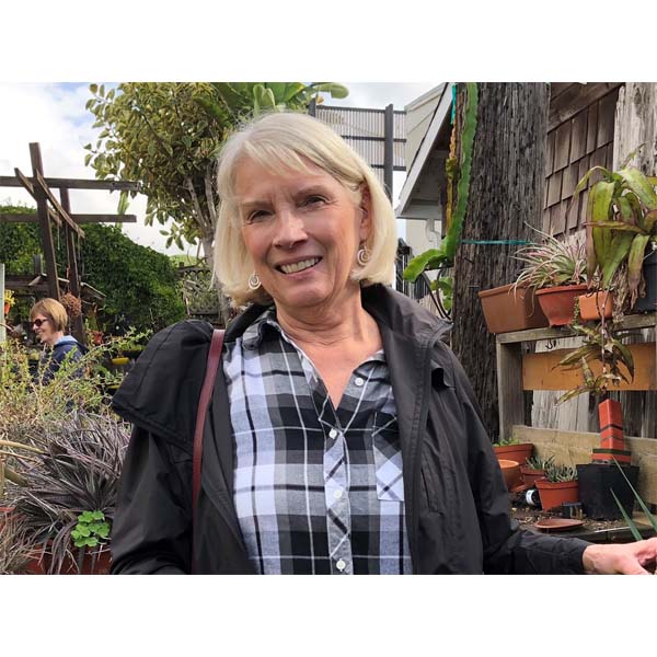 solana-succulents-13
