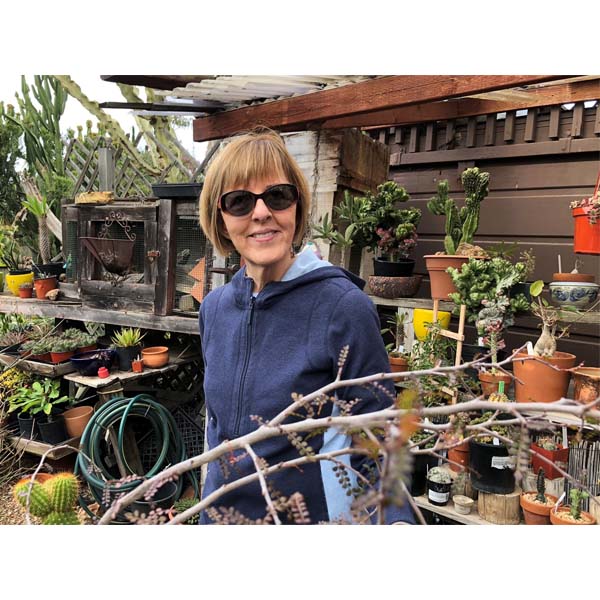 solana-succulents-15