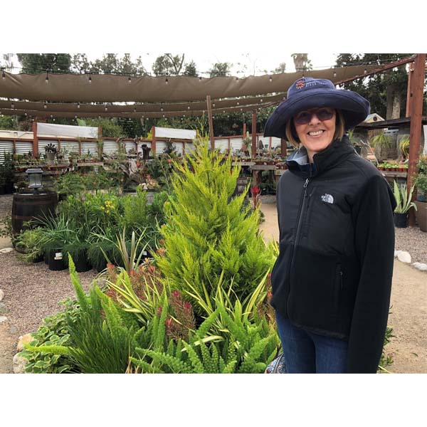 solana-succulents-22