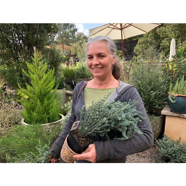 solana-succulents-23