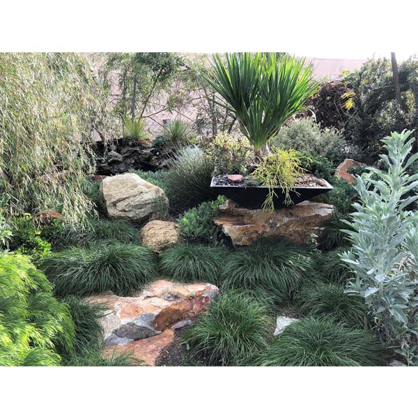 solana-succulents-25
