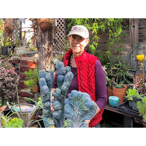 solana-succulents-6