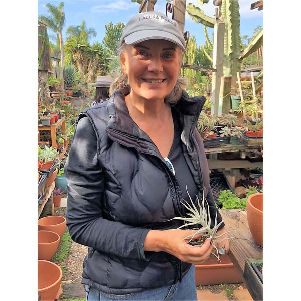 solana-succulents-7