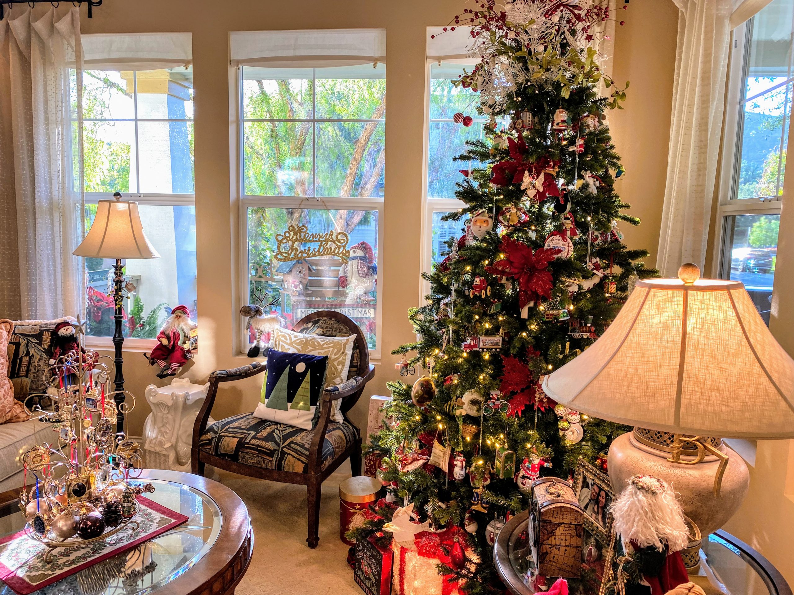 IMG_7517 Holiday Member Tour