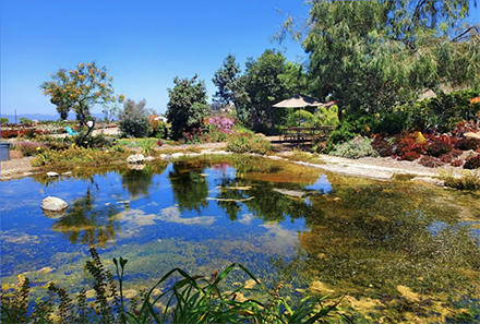 Waterwise Garden Center