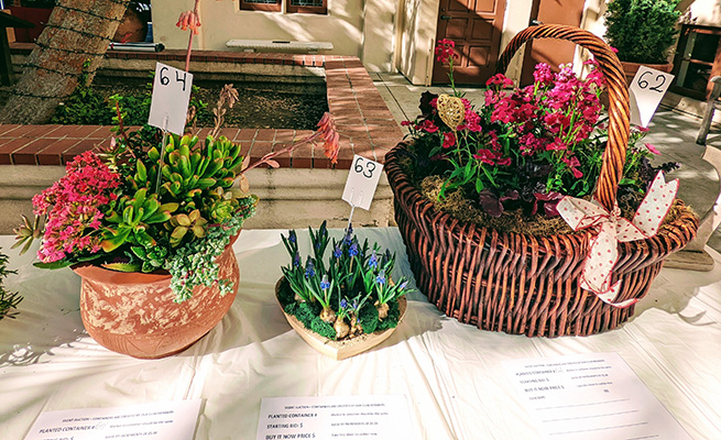 Three planted container gardens for auction