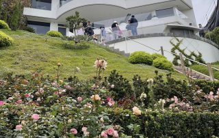 Pink roses at ocean front