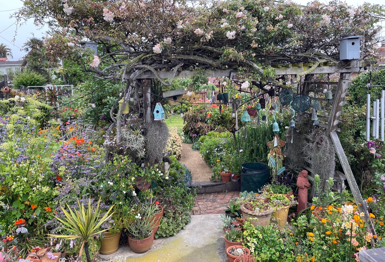 IMG_5607 rose arbor in our garden of the year