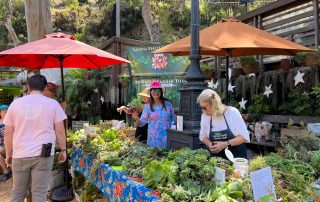 Garden club participates in Green Day at the Sawdust Festival