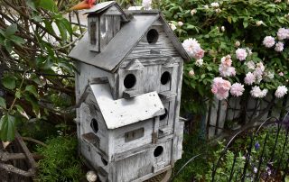 Bird house and pink roses