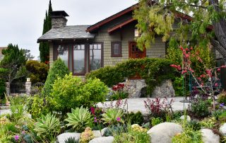 Curb appeal at garden #8