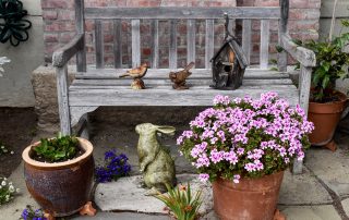 Charming bench with potted flowers
