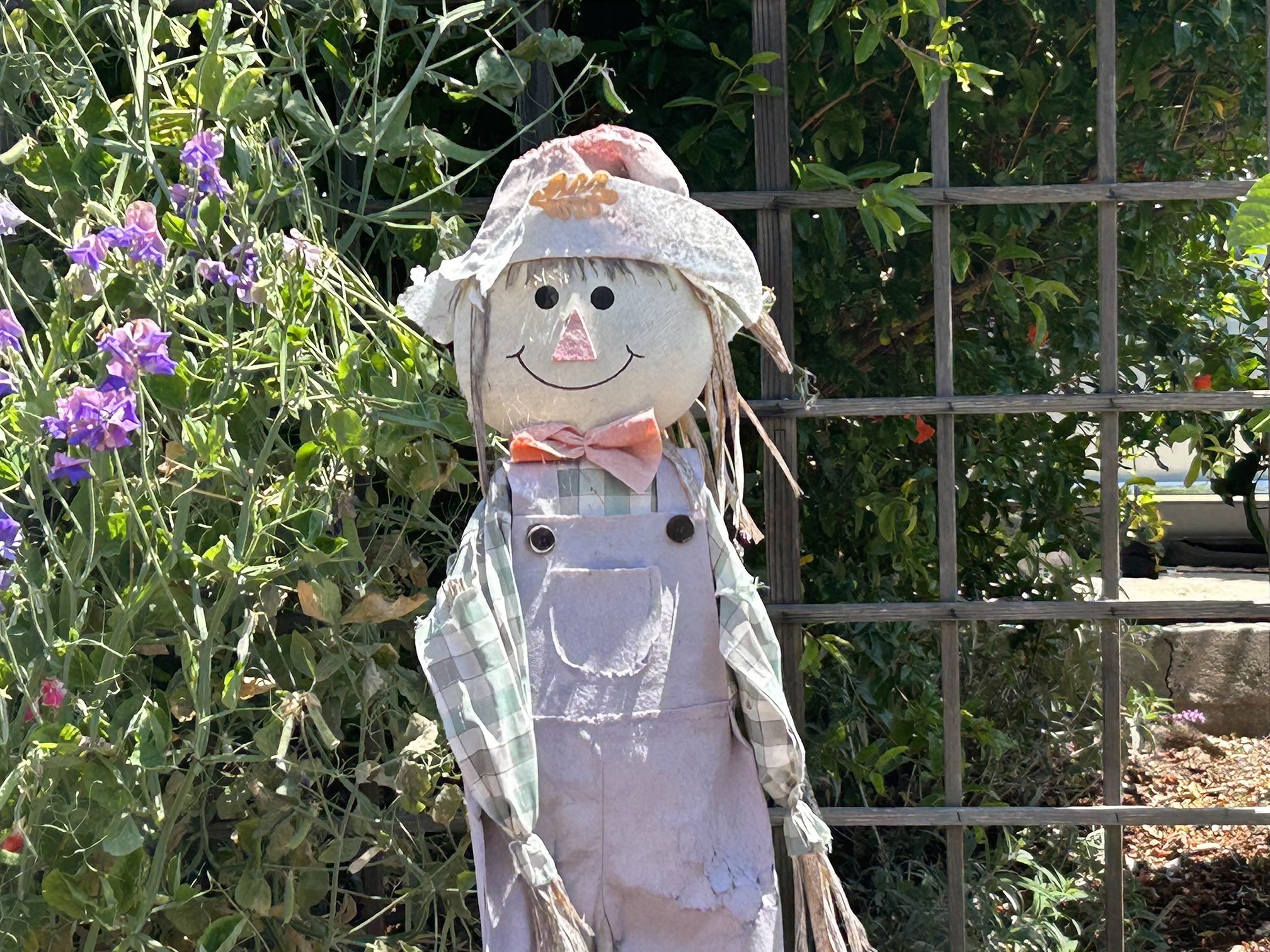 F1712577-D0F2-4577-BA19-1B6F7F6C2A56 Scarecrow