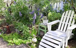 Adirondack chair and cactus