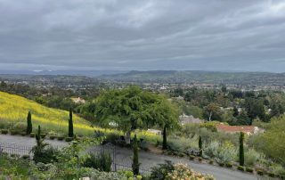 Sheila Peterson's terraced garden