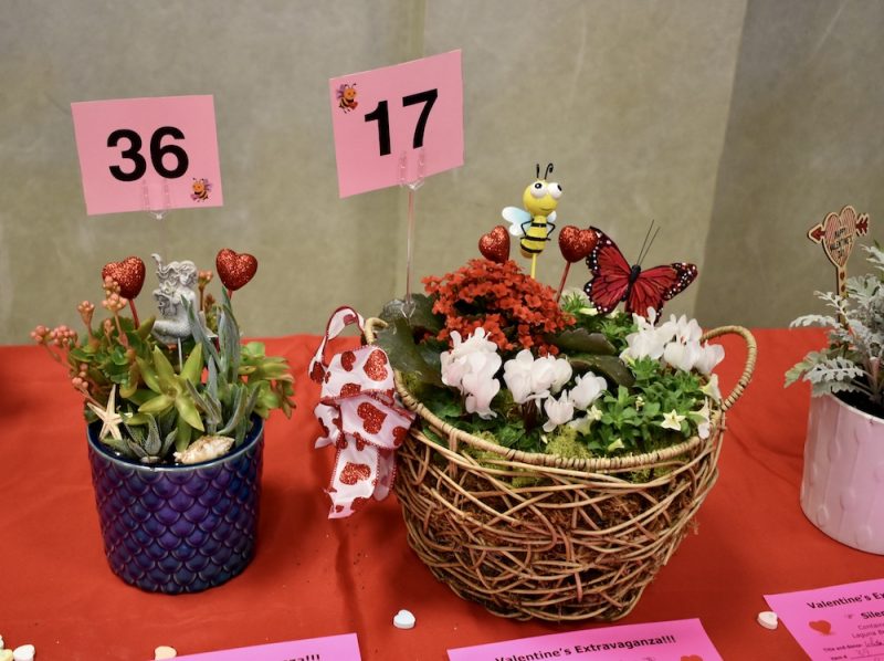 DSC_0012-800×598