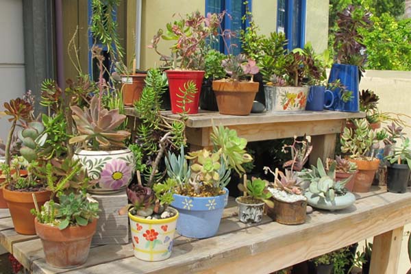 good-gardening-advice resources