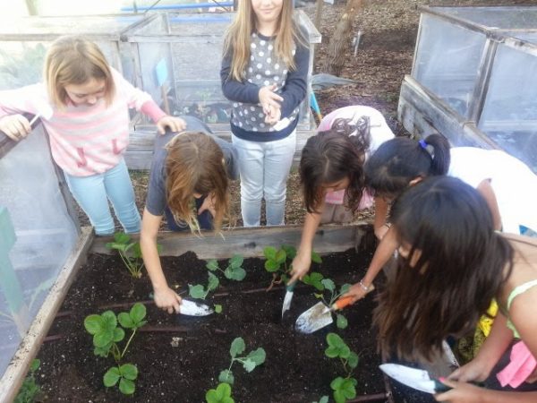 school-gardens_02-600×450