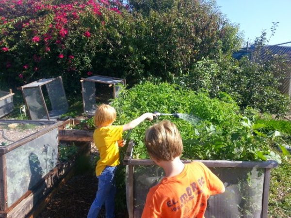 school-gardens_03-600×450