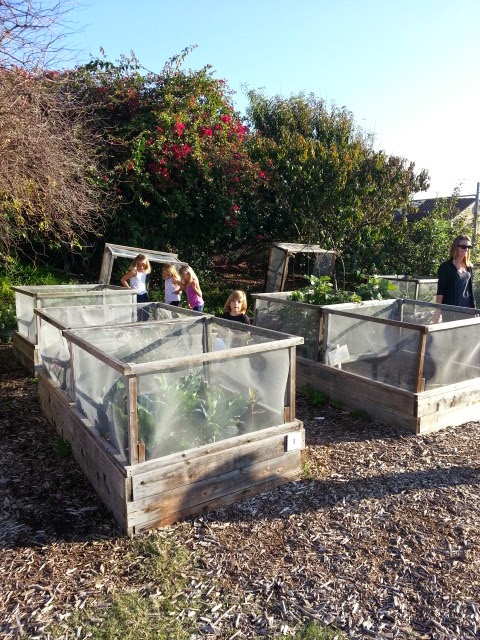 school-gardens_04