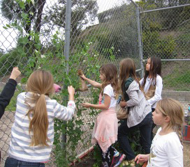 school-gardens_05
