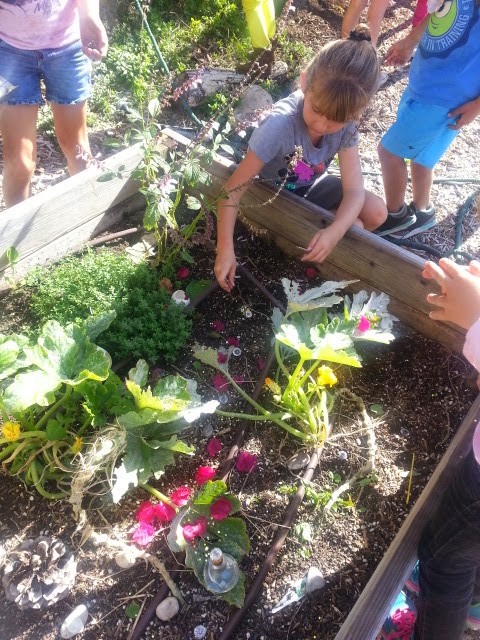 school-gardens_07