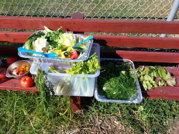 school-gardens_11-600×450