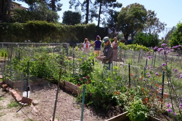 school-gardens_14-600×400